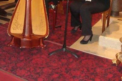 Matrimonio con arpa e violino