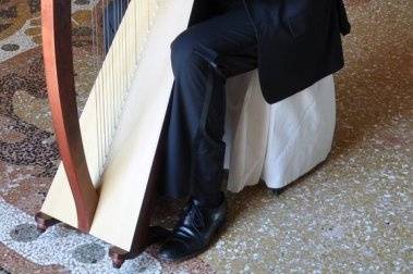 Un'arpa per un sì...