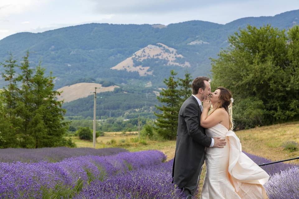 Parco - lavanda - matrimonio