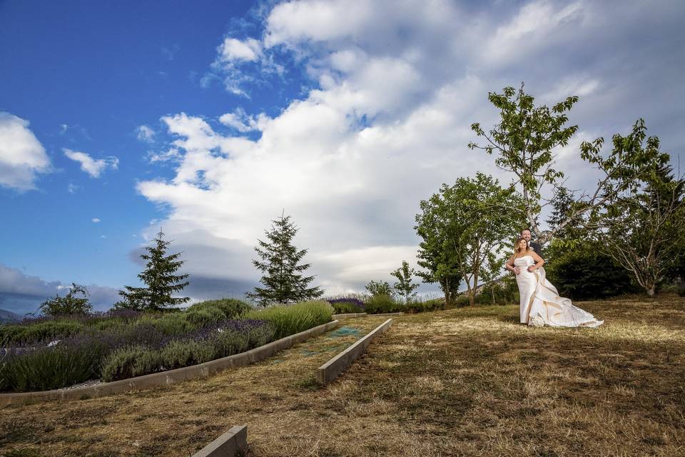 Parco - lavanda - matrimonio