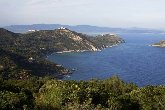 Mare di Maremma