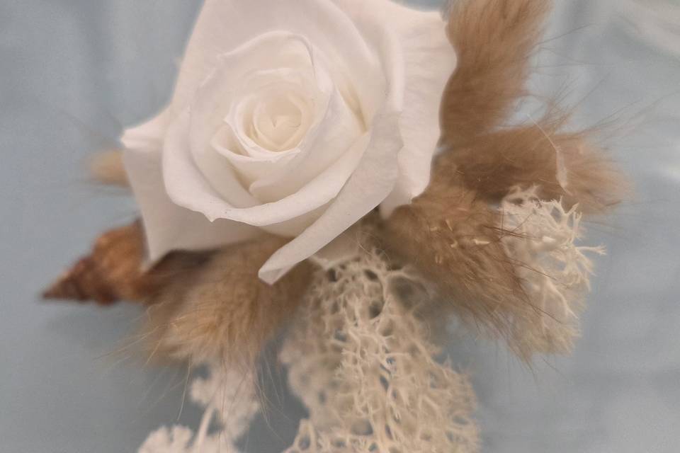 Fiore all'occhiello Eco