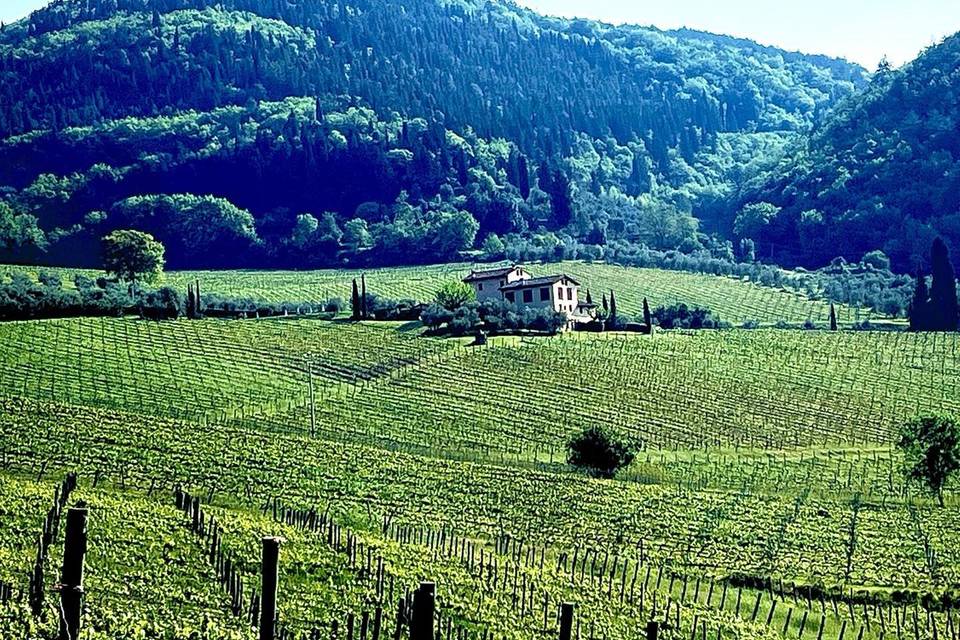 Agriturismo I Veroni