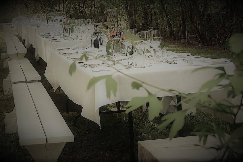 Garden wedding