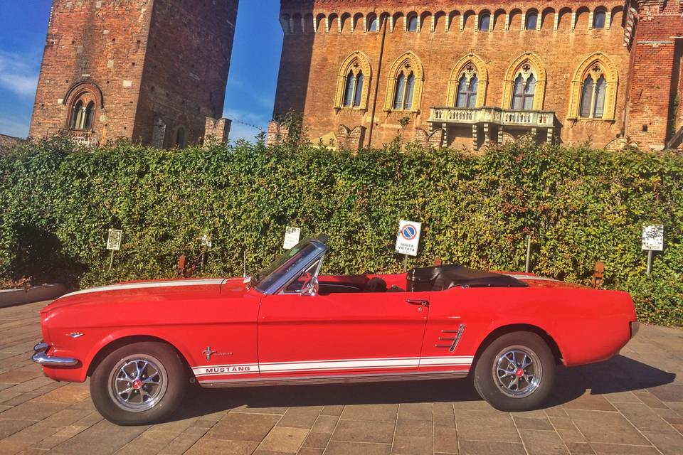 Ford Mustang Cabrio