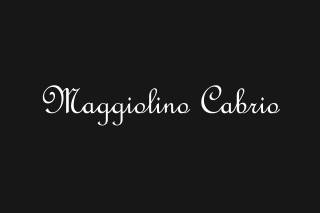 Maggiolino Cabrio