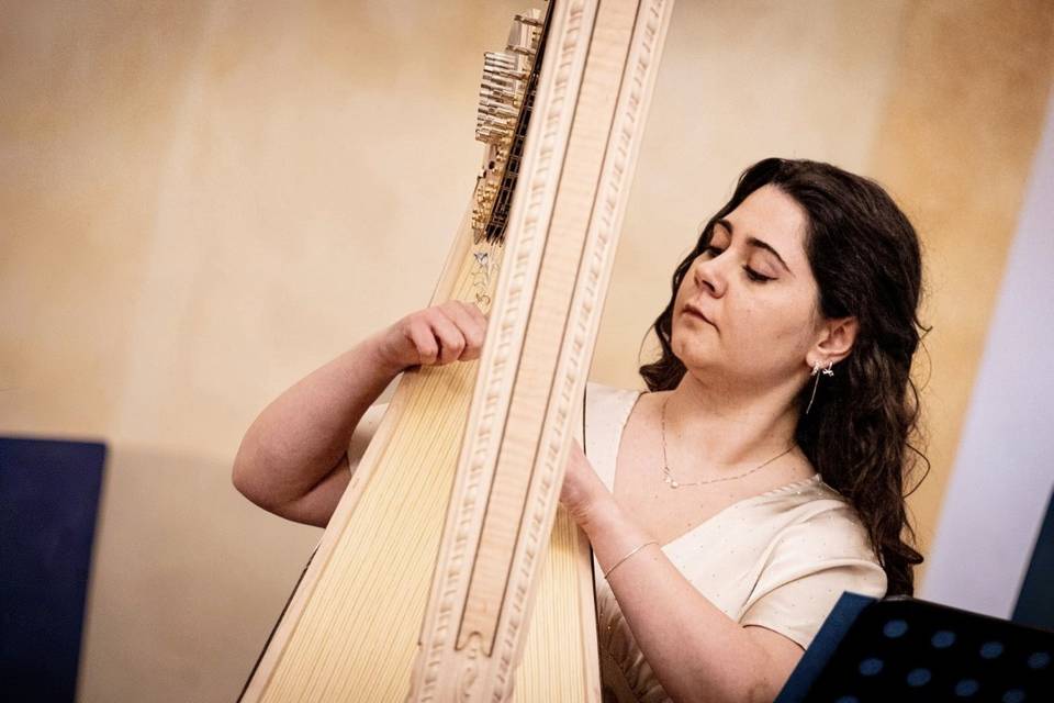 Harpist