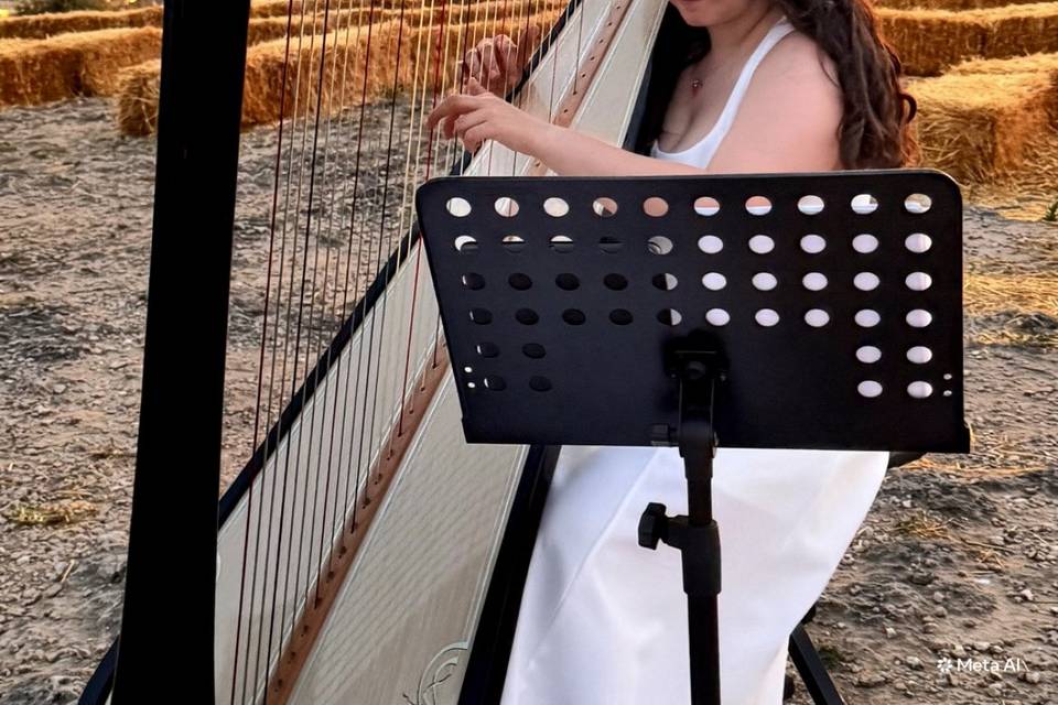 Harpist