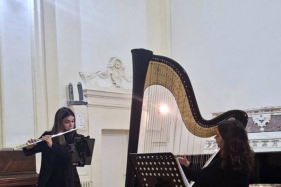 Duo Meraki