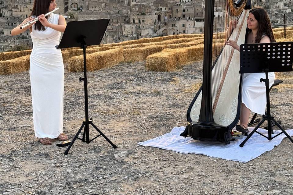 Duo Meraki