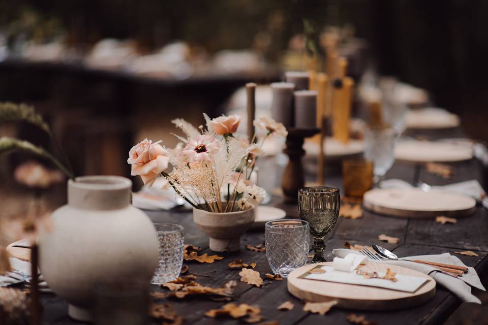 Eleganza
