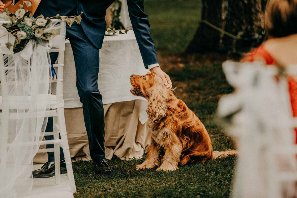 Foto di matrimonio con fumogen