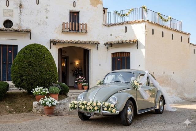 Esempio di allestimento