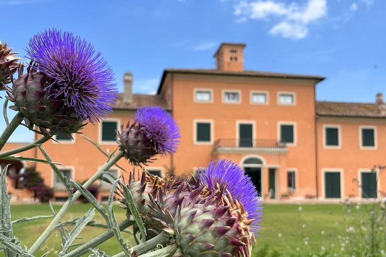 Villa Alberico