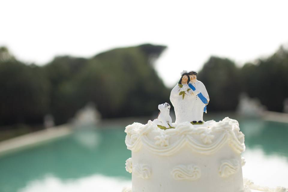 Cake Topper