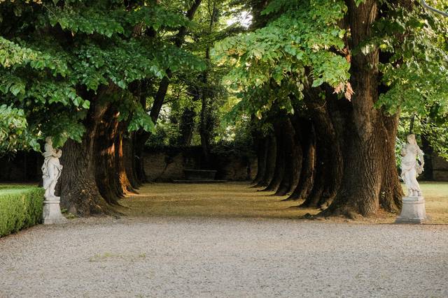 Viale dei Tigli