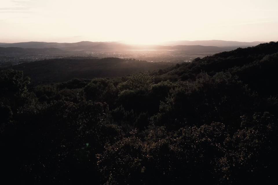 Luis Nunez Visual
