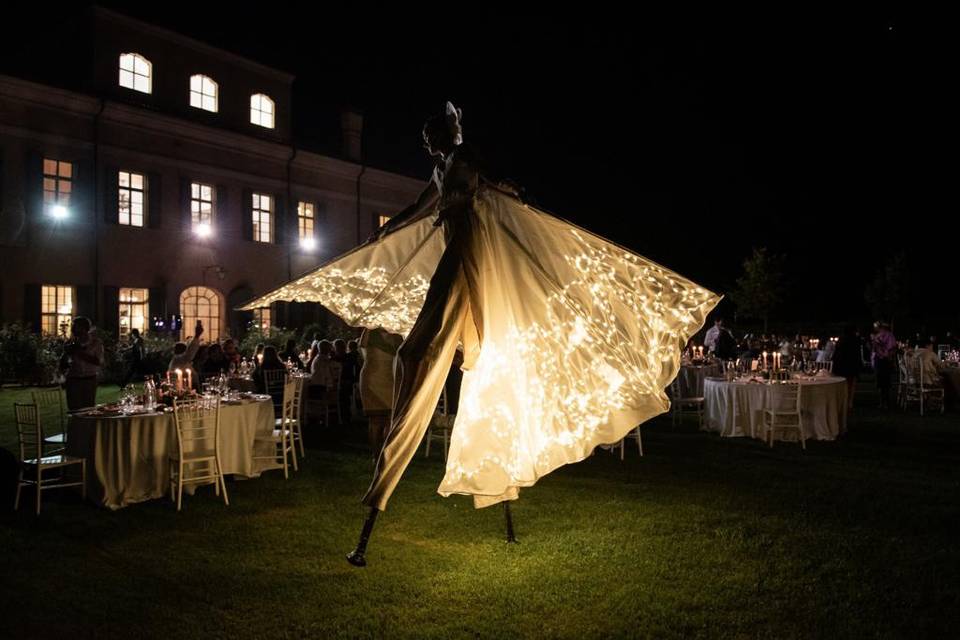 Farfalle Luminose Matrimonio