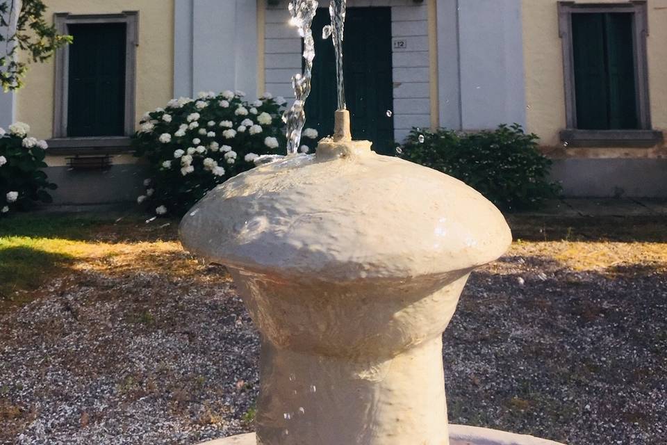 Particolare fontana di mezzo