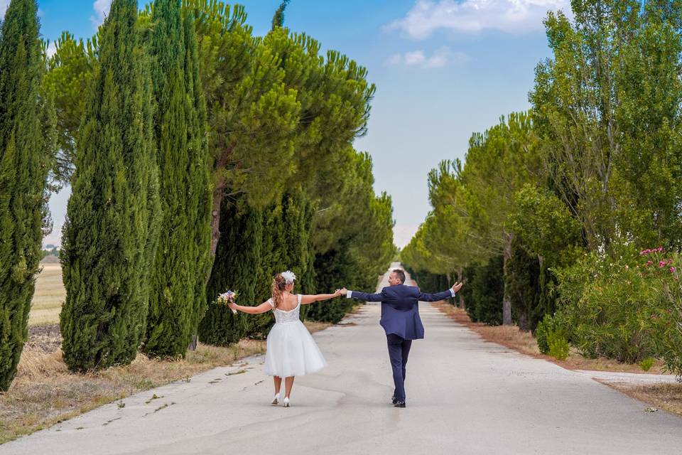 PhotoMirko - Wedding & Lab