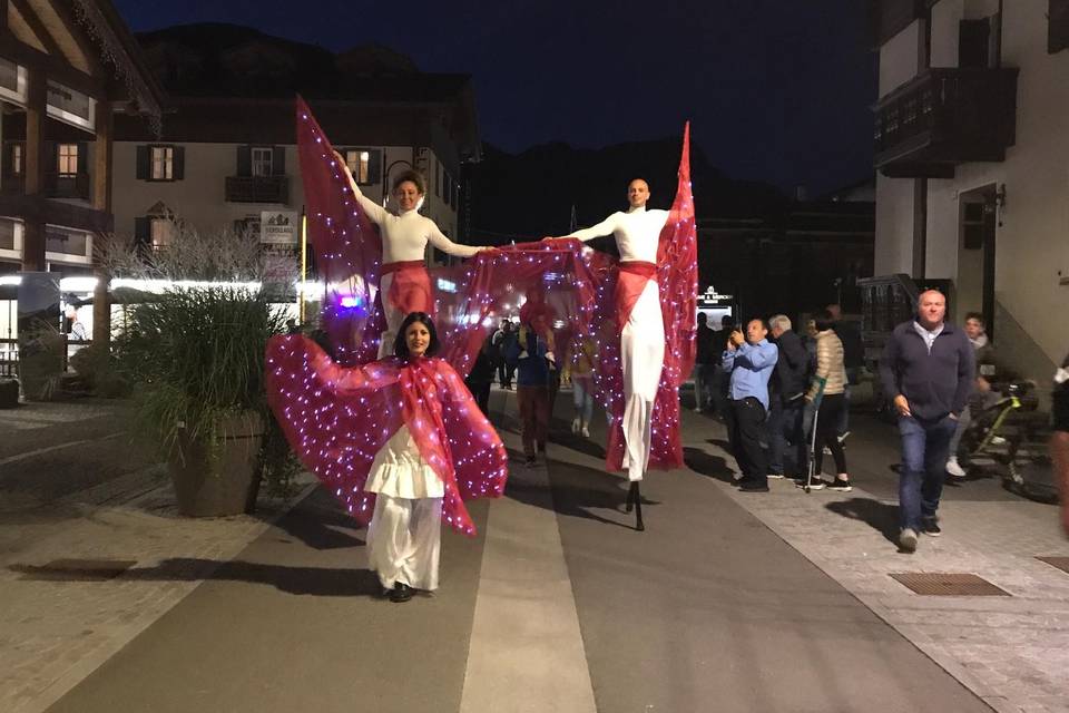 Trampolieri luminosi ali rosse