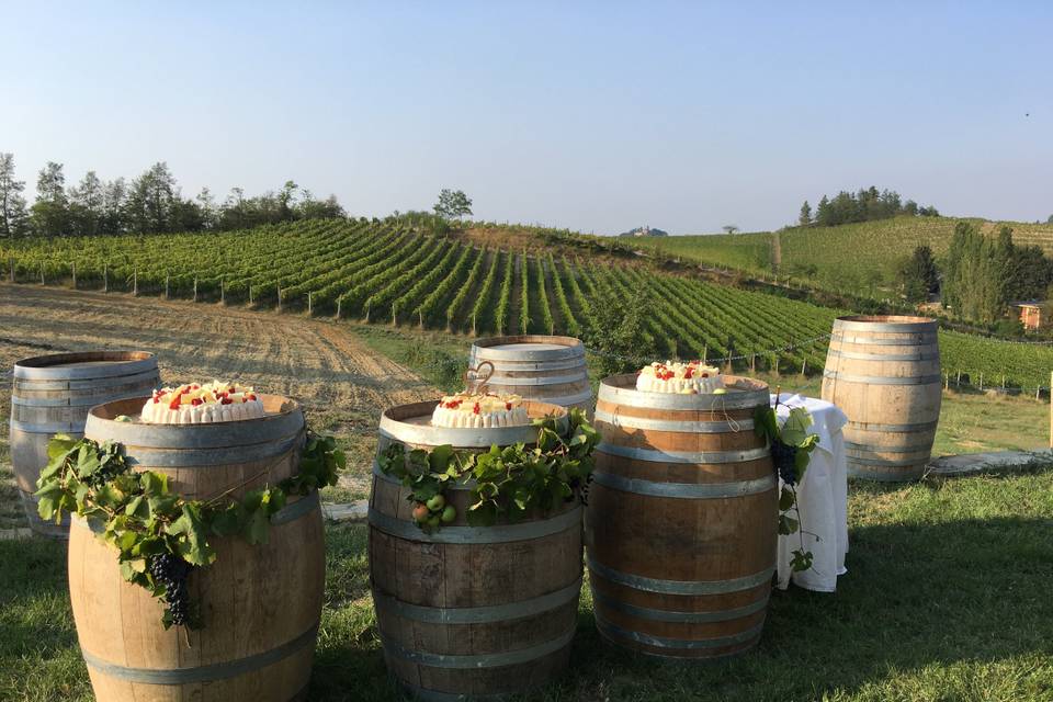 Torta sulla terrazza vigne