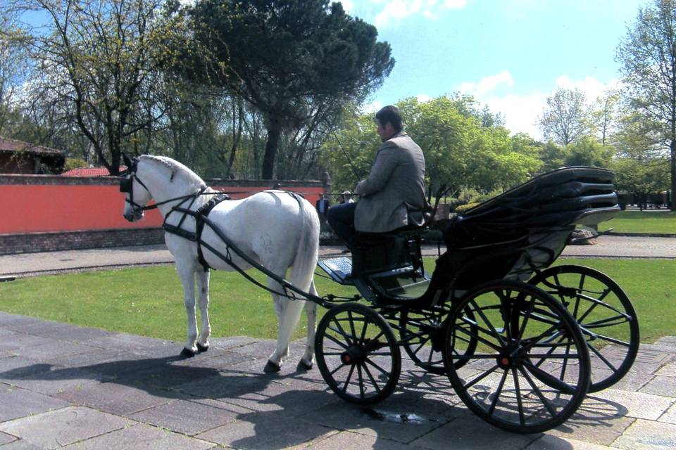 Carrozza con cavallo