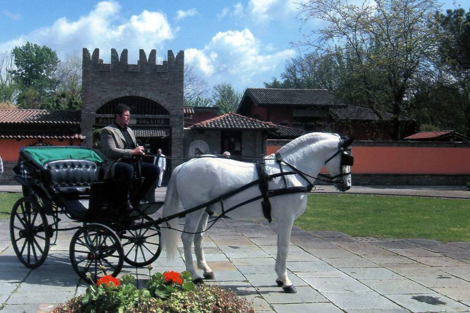 Carrozza con cavallo