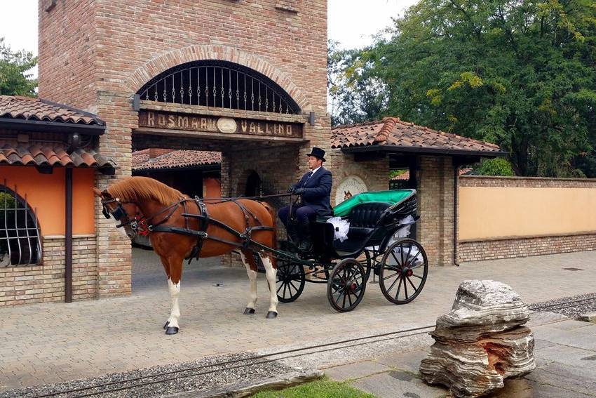 Carrozza cavallo