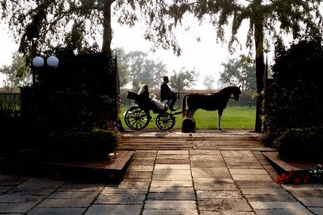 Carrozza cavallo