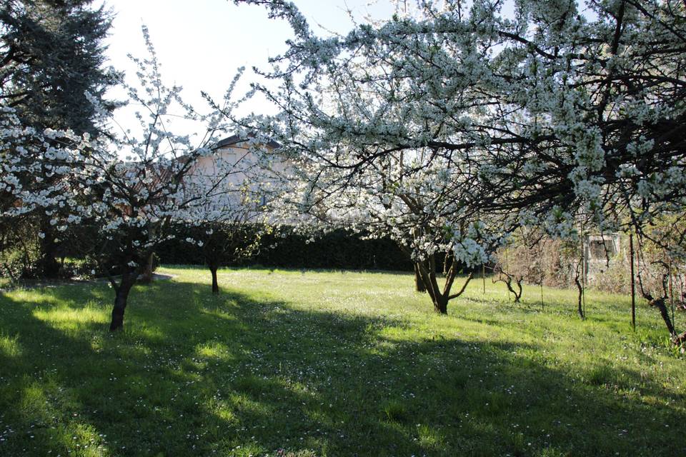 Giardino villa