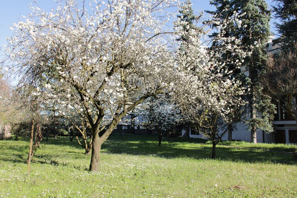 Giardino villa