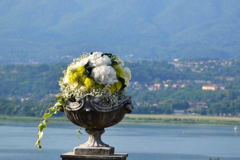 Fiori sul lago