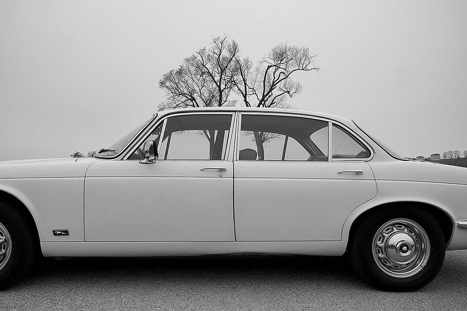 Jaguar XJ6