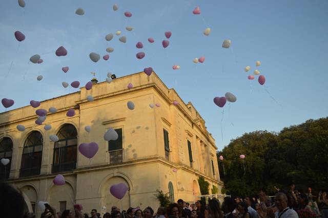 Balloon Art Marco Cotardo