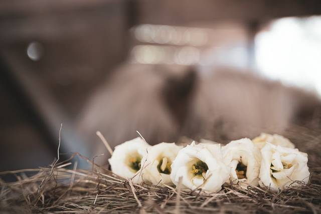 Allestimento country dettaglio