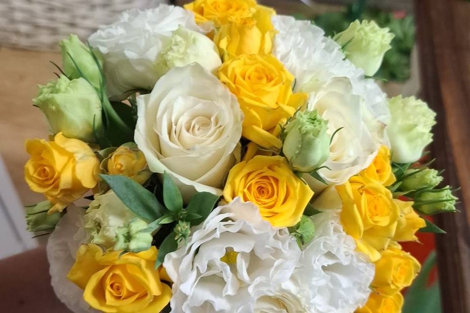 Giallo bianco