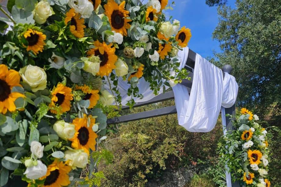 Arco girasoli