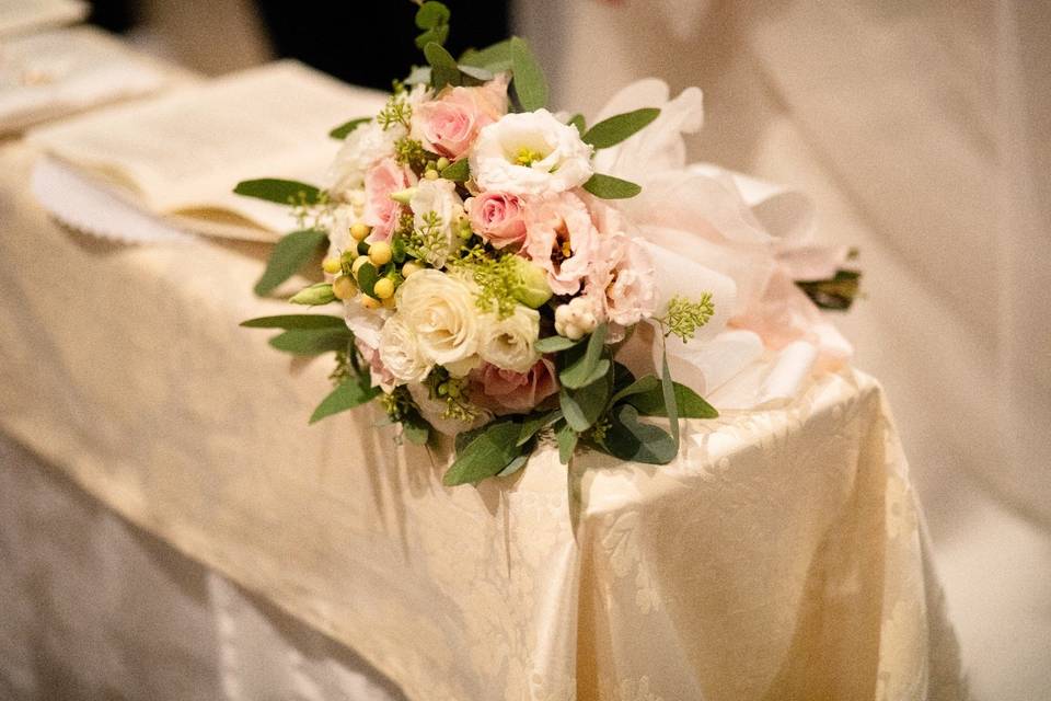 Rosa panna