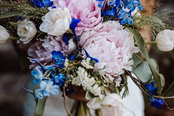 Rosa blue