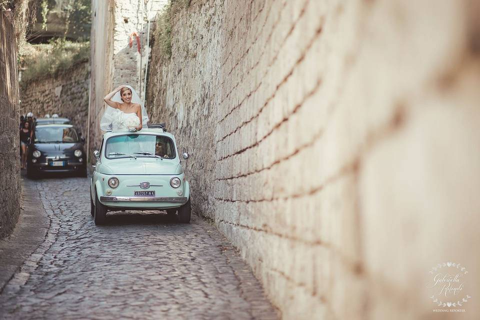 Gabriella Rotondi Wedding Reporter