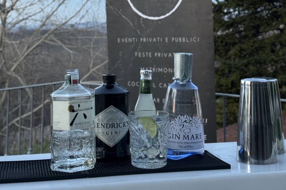 Gin