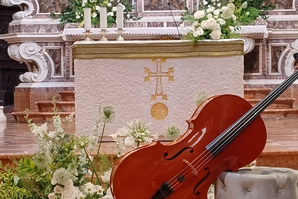 Cello