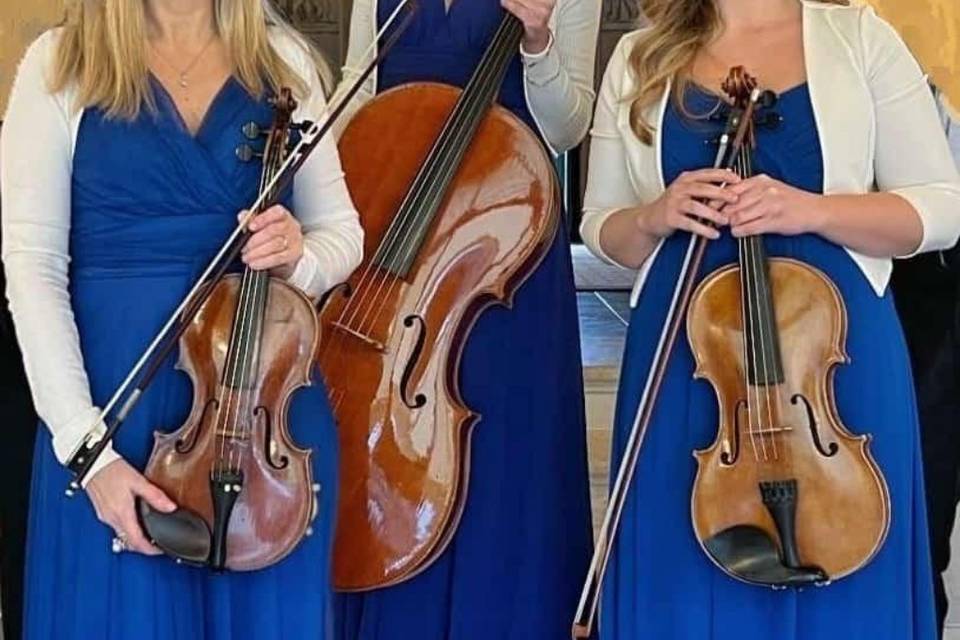 Trio violino viola violoncello