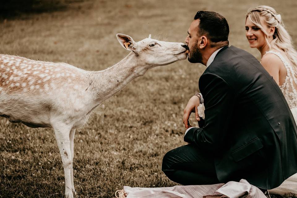 Matrimoni lago di como