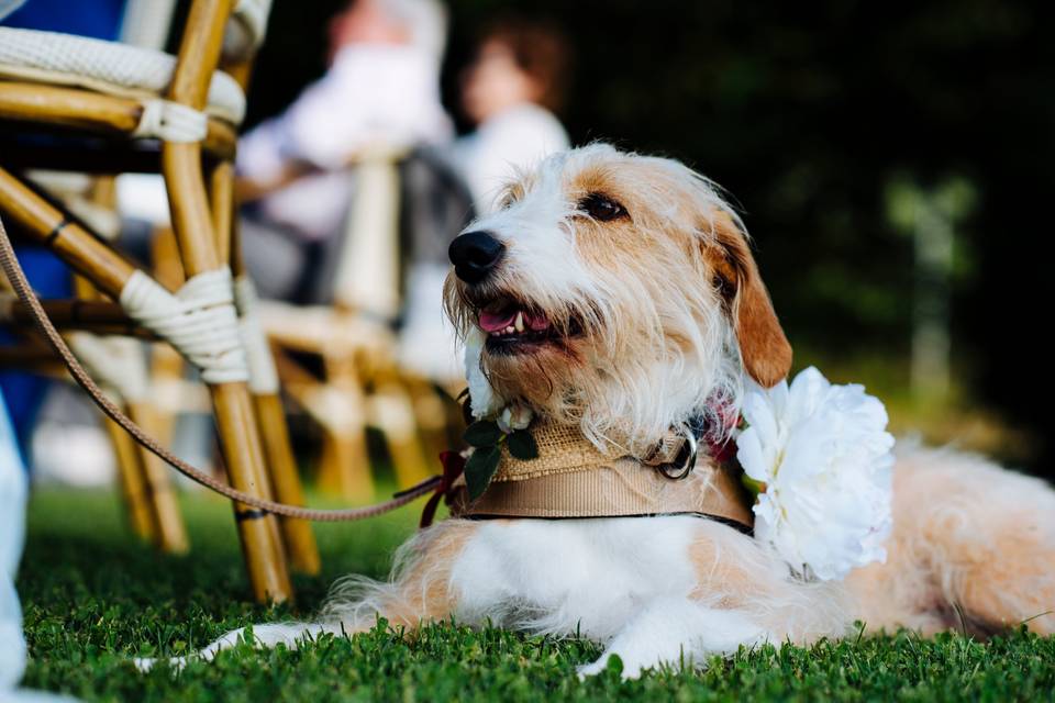 Matrimonio Cascina Casareggio