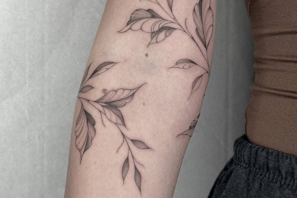 Foglie fine line