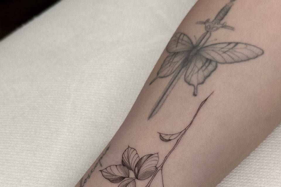 Rosa