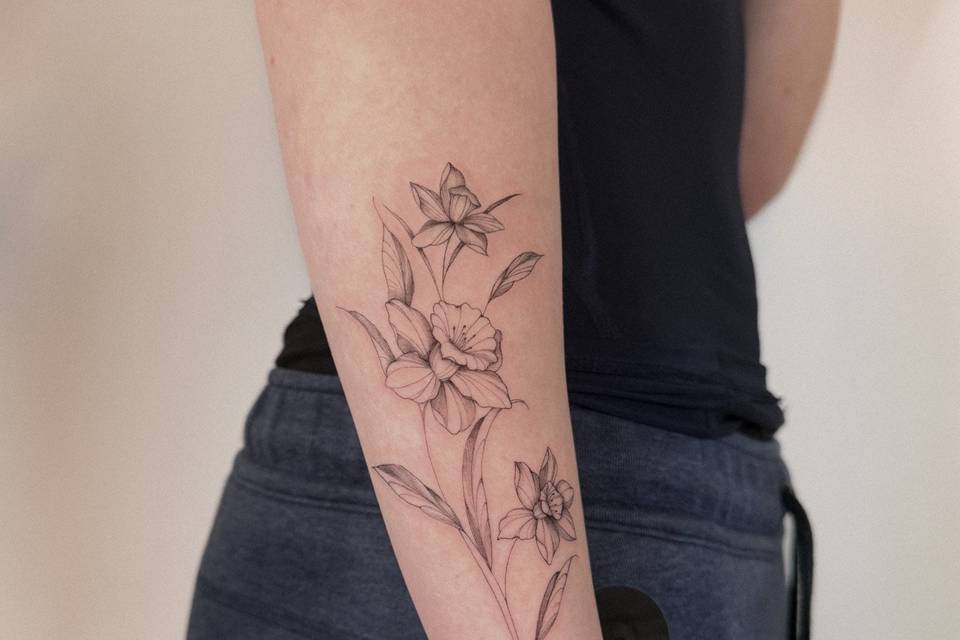 Narcisi