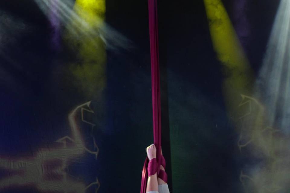 L'arte di volare